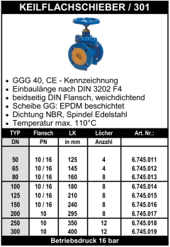 Keilflachschieber 301